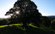 Valleydale Cottage - thumb 1