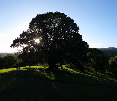 Valleydale Cottage - Accommodation Bookings 1