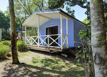 Tiona Palms Holiday Park - Accommodation Bookings 6