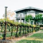 Mortimers Wines The Canopy Loft - Accommodation Bookings 1