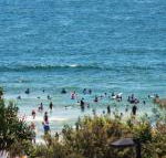 Pacific Towers Unit 4 19 Ormonde Tce Kings Beach - Accommodation Bookings