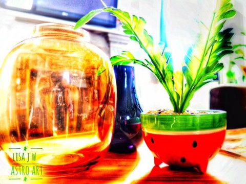 Star Of The West Hotel - Accommodation Bookings 5