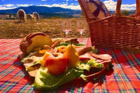 Country Budget - Accommodation Bookings 3