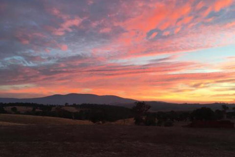 Country Budget - Accommodation Bookings 6