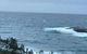 Absolute Oceanfront Cottage - thumb 6