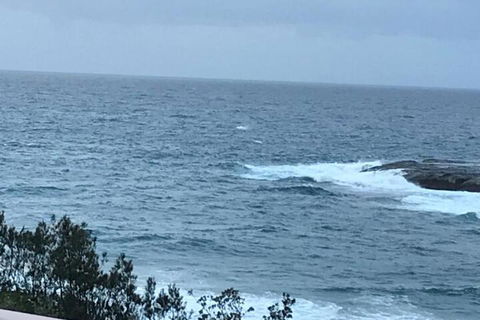 Absolute Oceanfront Cottage - Accommodation Bookings 6
