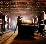 Pieter van Gent Winery  Vineyard - Accommodation Bookings