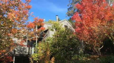Cloudsong Chalet 4 Close To The Village Centre! - Accommodation Bookings 2
