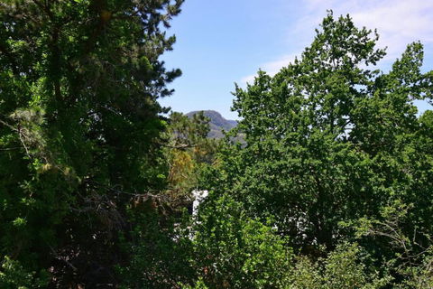 Cloudsong Chalet 4 Close To The Village Centre! - Accommodation Bookings 3
