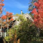 Cloudsong Chalet 4 Close To The Village Centre! - Accommodation Bookings 0