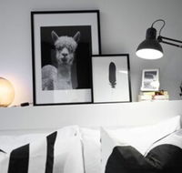 105flora Cozy Stay Prahran Lively Neighbour - Accommodation Bookings
