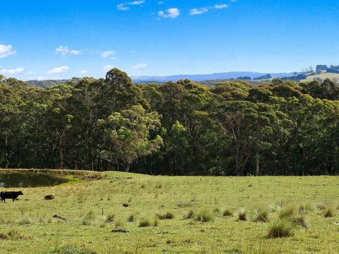 Cooinda 50 Percent Off Third Night On Weekend - Accommodation Bookings 5
