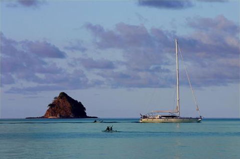 LANDSCAPE At PALM COVE - Accommodation Bookings 5