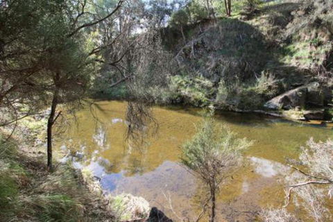 Alpine Streamside - Accommodation Bookings 3