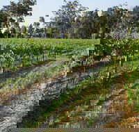 Renovated Cottage Aberdare Hunter Valley - Accommodation Bookings