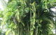 Yamacutta House - thumb 1