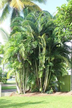 Yamacutta House - Accommodation Bookings 1