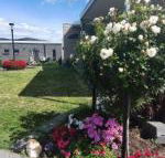 Velika - Accommodation Bookings