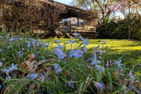 Alexander Cottage - Accommodation Bookings 3
