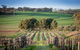 Lucys Cottage - thumb 4