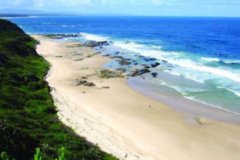 Pacific Studio Nambucca Heads - Accommodation Bookings 4