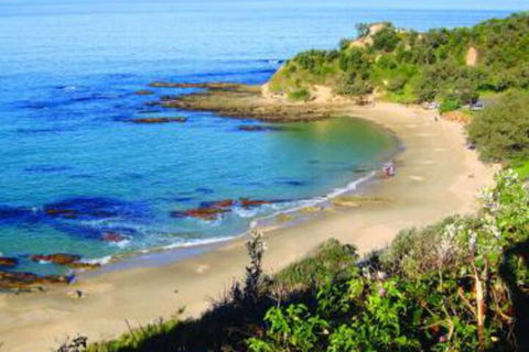 Pacific Studio Nambucca Heads - Accommodation Bookings 5
