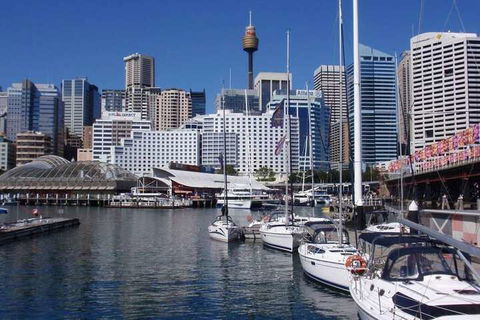 Master Room With Bays View Near Darling Harbour - Accommodation Bookings 5