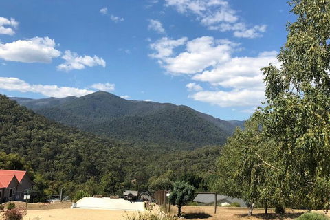 Alpine Stag Lodge Unit 2 - Accommodation Bookings 7