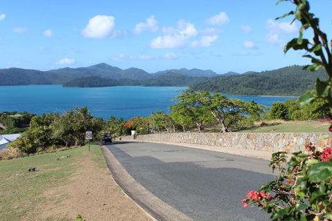 Oasis 25 Hamilton Island - Accommodation Bookings 5