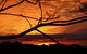 Cedarview Bed & Breakfast - thumb 5