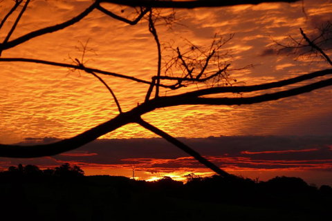 Cedarview Bed & Breakfast - Accommodation Bookings 5