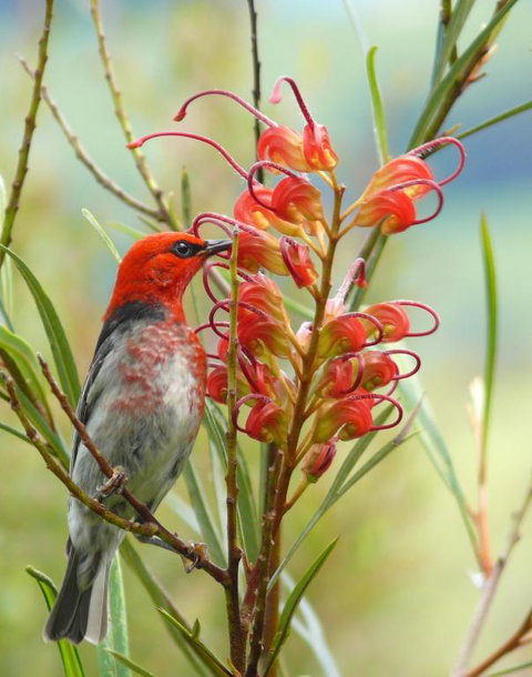 Cedarview Bed & Breakfast - Accommodation Bookings 1