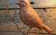 Cedarview Bed & Breakfast - thumb 6