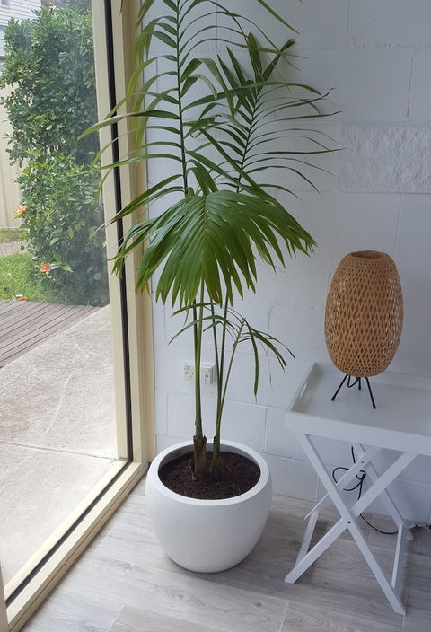 Beach Holiday Apartments Motel - Accommodation Bookings 5