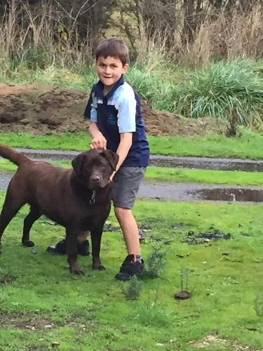 Harlea - Accommodation Bookings 6