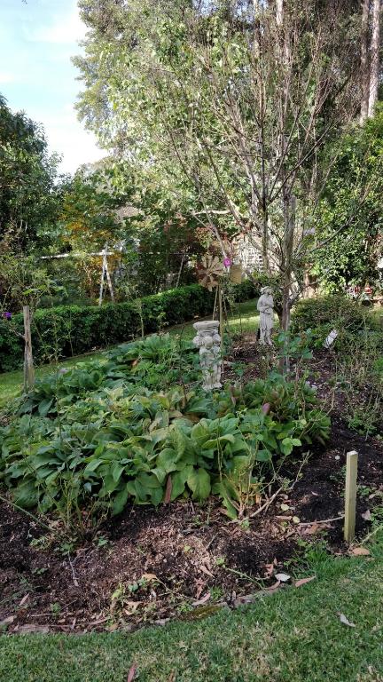 Laurel House - Accommodation Bookings 3