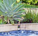 Fingal Escape - Accommodation Bookings