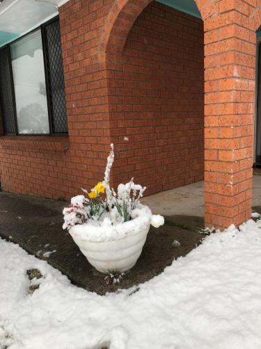 Ecoangelus - Accommodation Bookings 4