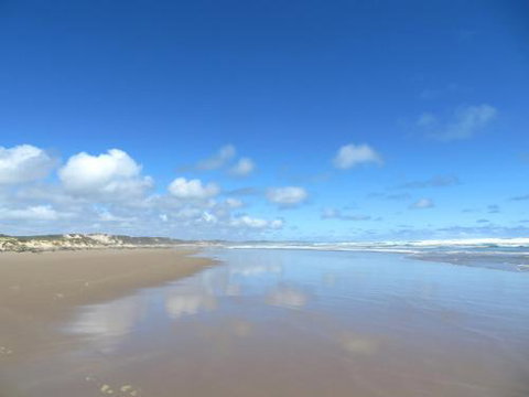 Arthur Riverfront & Sea Lodge Downstream - Accommodation Bookings 0