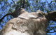 Arthur Riverfront & Sea Lodge Downstream - thumb 4