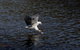 Arthur Riverfront & Sea Lodge Downstream - thumb 3