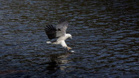 Arthur Riverfront & Sea Lodge Downstream - Accommodation Bookings 3
