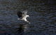 Arthur Riverfront & Sea Lodge Upstream - thumb 1
