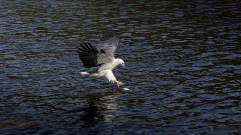 Arthur Riverfront & Sea Lodge Upstream - Accommodation Bookings 1