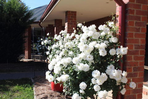 Gundaroo Manor Bed & Breakfast - Accommodation Bookings 1