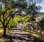 Capers Guesthouse Barn  Cottage - Accommodation Bookings