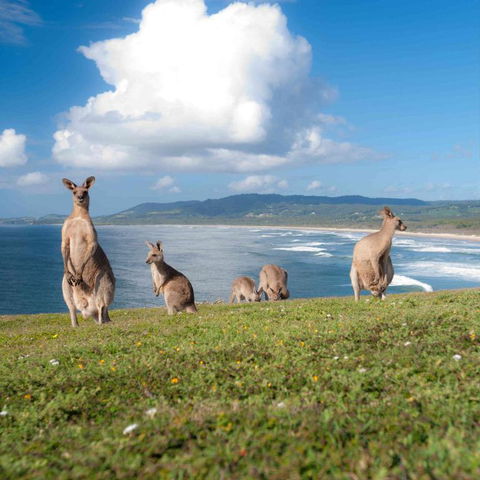 FAMILY ISLAND GETAWAY BEACHFRONT APARTMENT - Accommodation Bookings 4