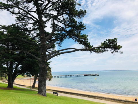 FAMILY ISLAND GETAWAY BEACHFRONT APARTMENT - Accommodation Bookings 3