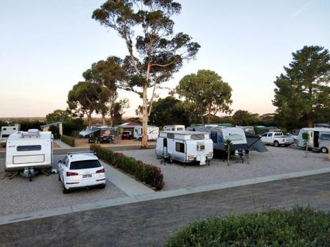 Murray Bridge Tourist Park - Accommodation Bookings 4