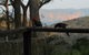Canyon Cottage - thumb 6